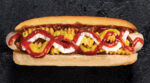 berlin dog